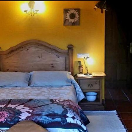 Maison d'hôtes El Perlindango (Adults Only) à Villademar Extérieur photo